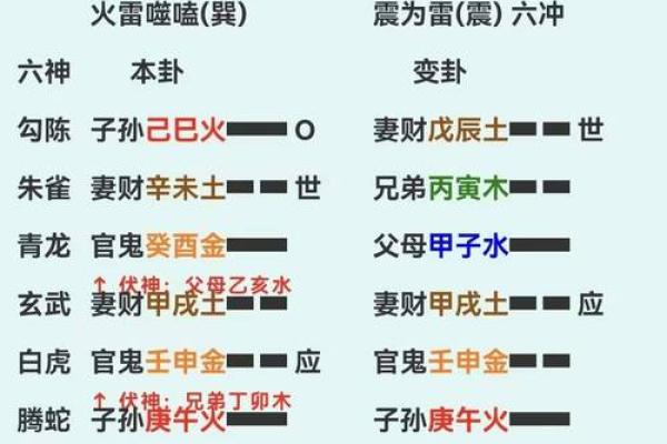 2017年出生的人命运解析：对照五行，探寻未来的秘密