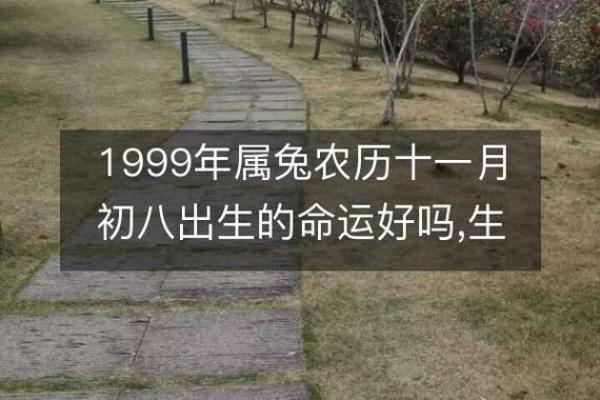 1992正月十一出生的人，命运与性格的深度解析