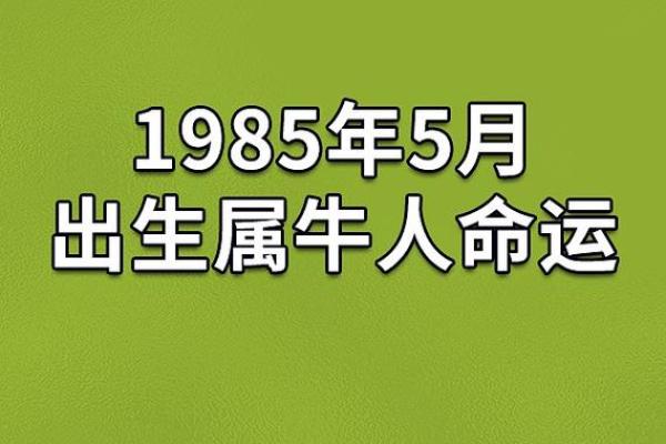 2020年5月5日出生的命运解析：揭示个体的性格与未来发展趋势