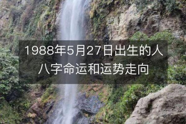 2020年5月5日出生的命运解析：揭示个体的性格与未来发展趋势