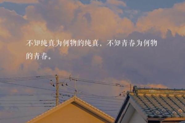 《根据什么脾气，决定你的命运：探索生活的哲学与情感》