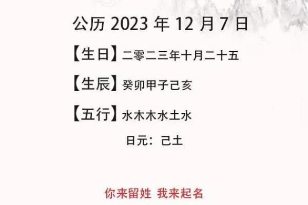 1994年5月25日出生的人命理解析与生活感悟