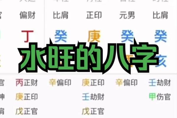 2013蛇年水命的命理分析与人生启示，探寻生命的缺失与成长之路