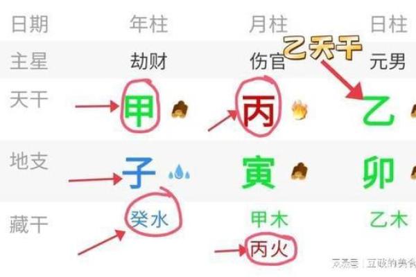 2017年5月9日出生命解析：探索天赋与命运的深层联系