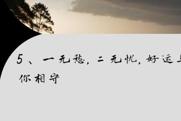 从春风得意到一帆风顺：以成语见证人生的成长与变化