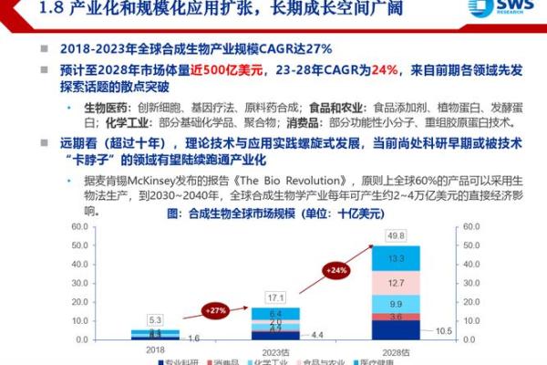 探索2006年：命运与机遇的交织之年