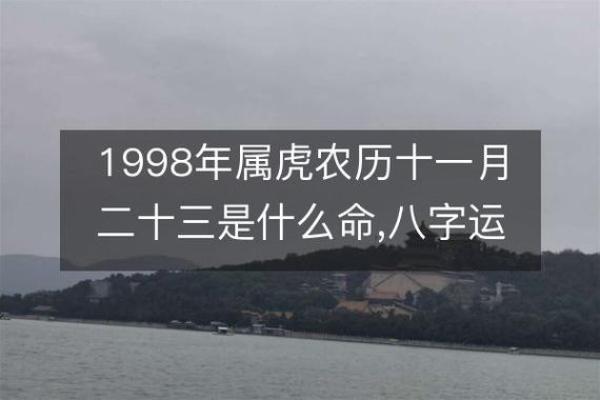 2022年虎年生肖命运解析：揭晓你与虎年之间的神秘联系