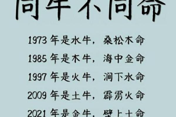 1948年火命的运势解读与人生启示