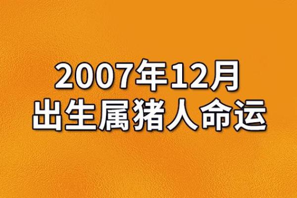 2013年出生宝宝命运解析：如何了解和提升孩子的潜能