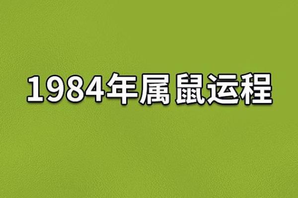 2020年属鼠人的命运解析与未来发展建议