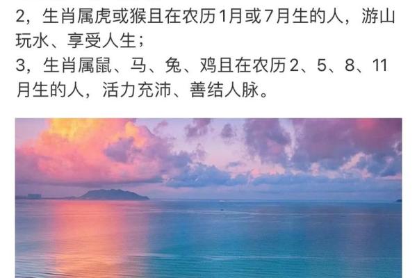 属相老鼠的命格与运势：揭秘最佳命格与人生方向