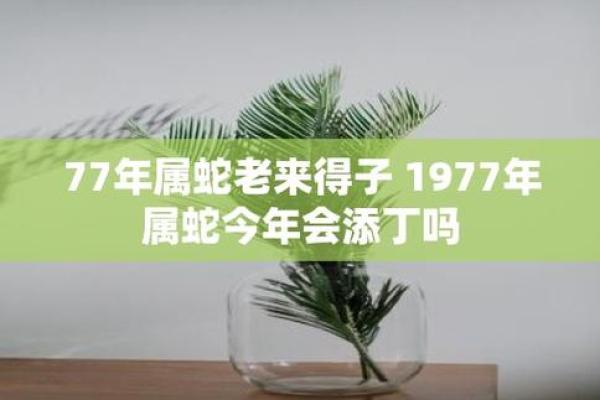 揭开女1977命运的神秘面纱：个性、运势与未来之路