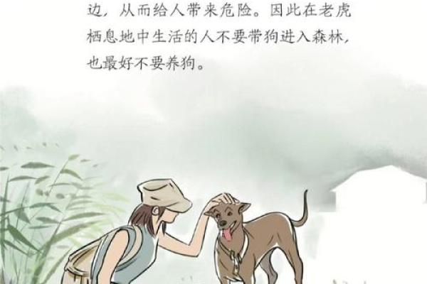 探讨1007年狗年出生人的命运与性格特点