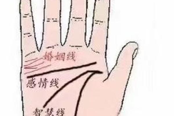 命理与婚姻：如何通过八字选择理想伴侣？