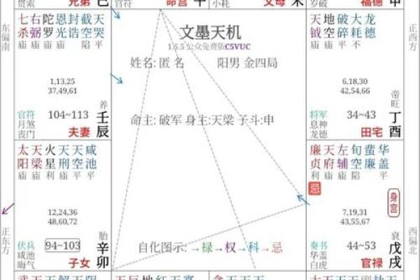 探索紫薇命盘：揭示人生的命格奥秘与迷人魅力