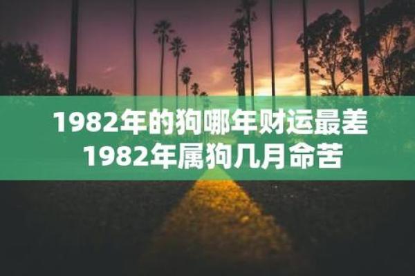 1982年属狗：命运与性格的奇妙探索