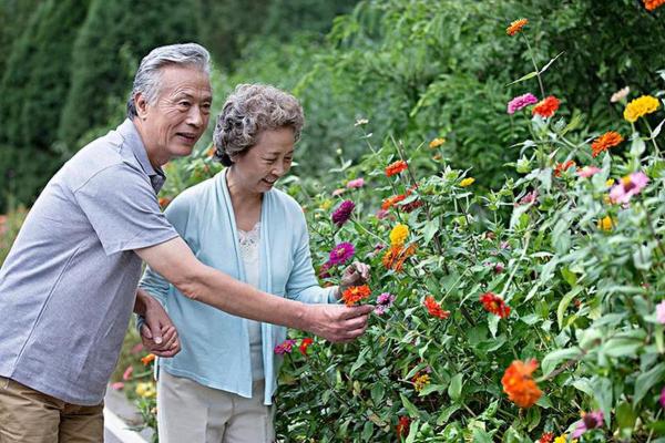 根据命理选择理想宅院，提升命运与幸福的秘诀