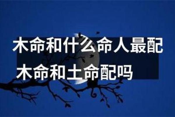 探秘五行相克：木命与土命之间的深刻含义与关系