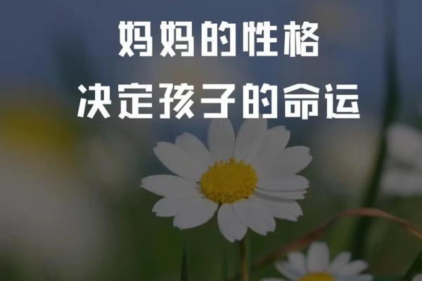 水命与土命的神秘解读：如何影响你的命运和性格