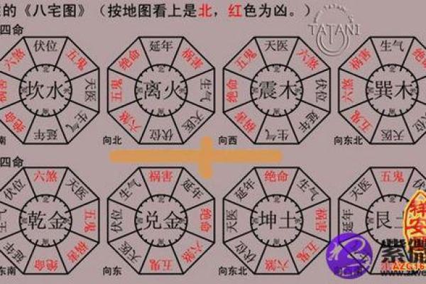 命主福元属东四命的深意与生活启示