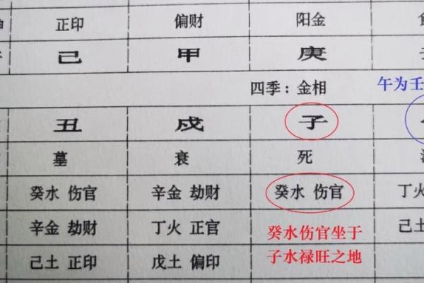 探秘命理中的“命主”：揭示每个人命运的关键力量