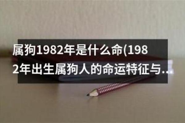 1991年属狗人的命运解析与生活智慧