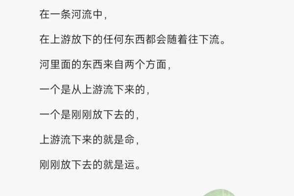 命与运的深度探讨：生活中的命运之网