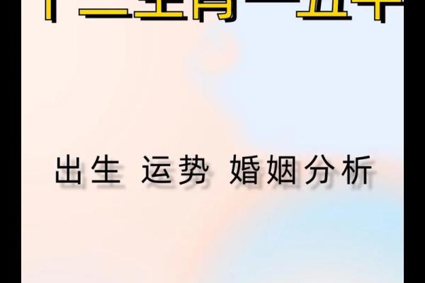 2027年属什么生肖与命理解析：揭开未来的神秘面纱