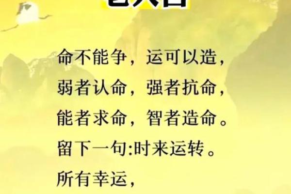 能者求命，智者造命：探寻人生的主动与被动之道