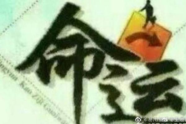 命强与命弱的奥秘：揭示不同命运背后的哲学与智慧