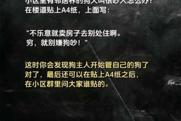 1982年狗年的命运与性格分析：如何把握人生机会