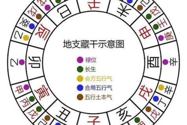 2020土命缺什么？解密五行八字与生活的奥秘！