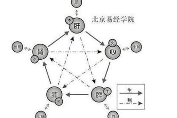 木命与土命的深厚联系：探寻五行之间的和谐与共生