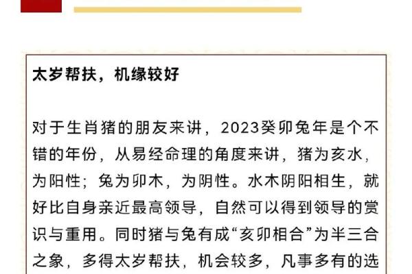 2023年兔年的命运解析：运势、性格与生活指南