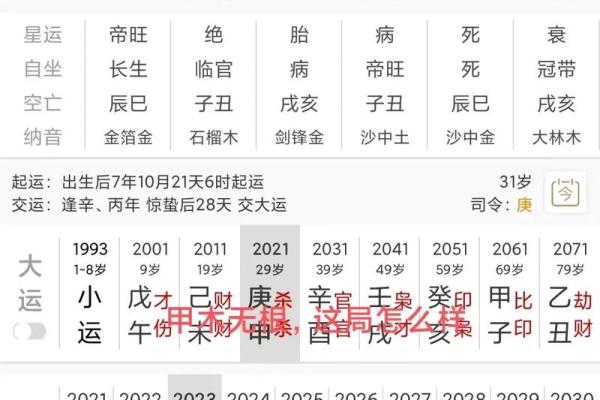 命理无根之命的深层解析与人生指引