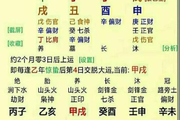 命理无根之命的深层解析与人生指引