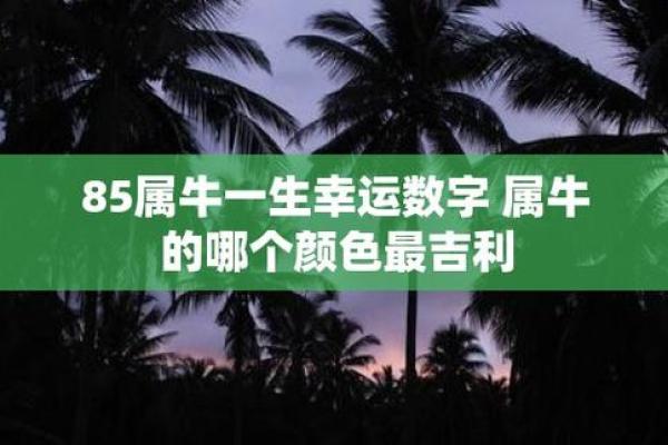 探秘牛年出生者的命运：牛年命理解析与人生展望