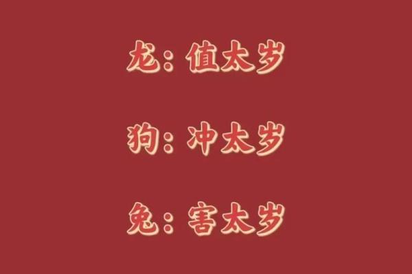 解密龙年命理：2012年出生的你究竟拥有怎样的命运？