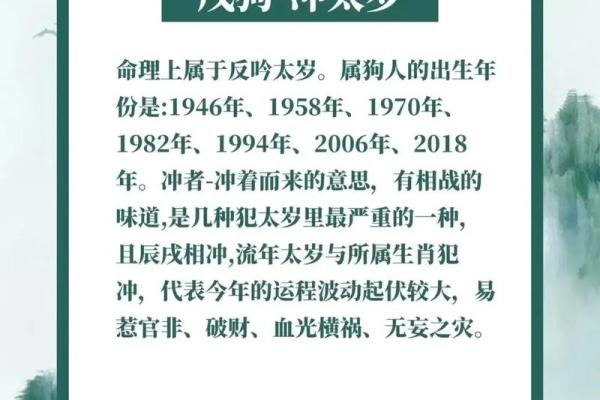 解密龙年命理：2012年出生的你究竟拥有怎样的命运？