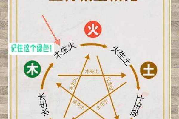 火命与木命的关系解析：相克与相生的辩证关系