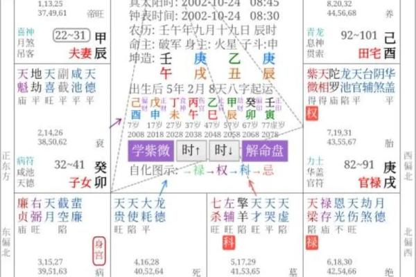 深入探讨主命格与辅命格的关系：命理学中的核心理念