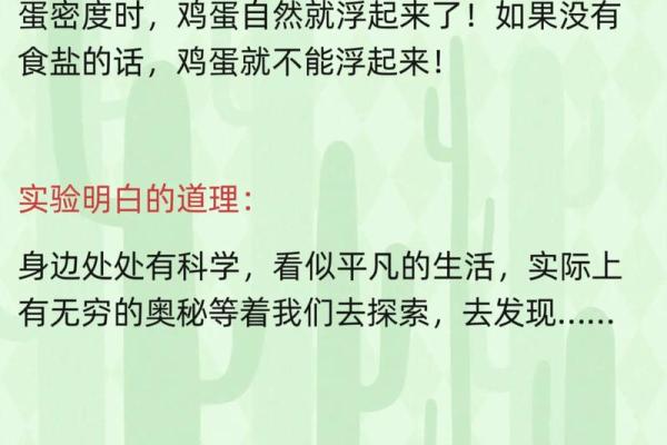 1993年鸡年出生的命运与性格解析：让我们一起揭开命理的奥秘