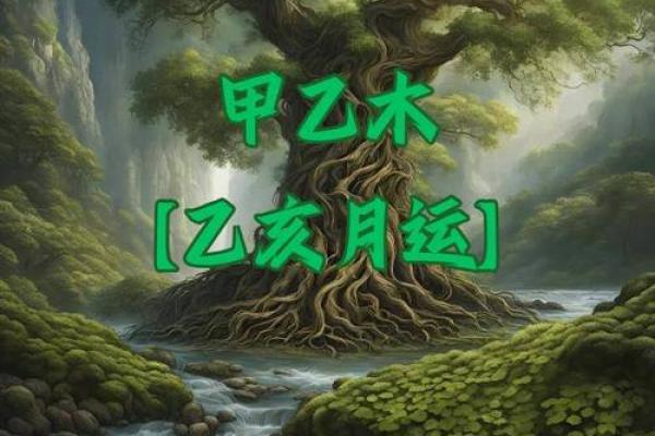 乙木命的人忌讳什么？探寻乙木命的命理特点与生活禁忌