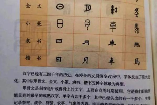 探索成语的魅力：揭开汉字的智慧与美丽之帷幕