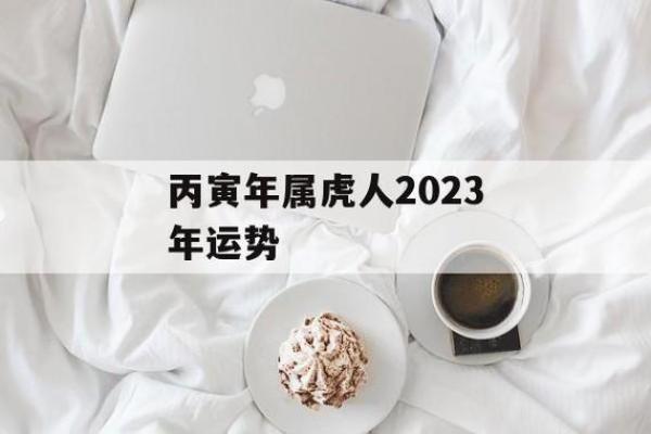 2023年如何选择适合虎命人的事业与生活方向？