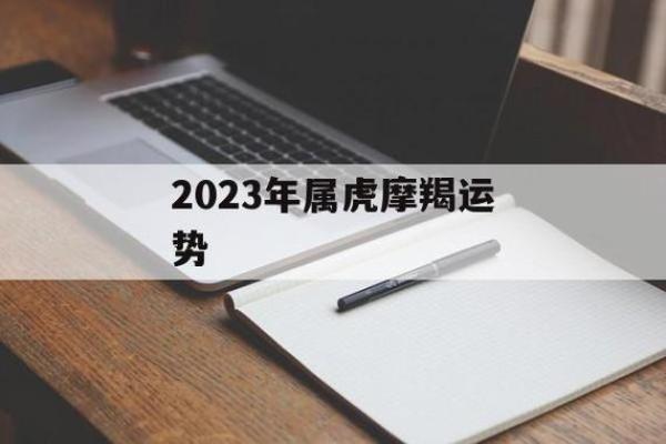 2023年如何选择适合虎命人的事业与生活方向？