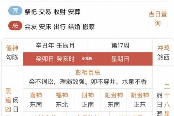 2017年鸡年：命理解析与人生启示