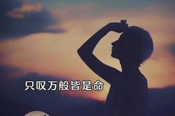 命运的交响曲：年龄与人生的奇妙相遇