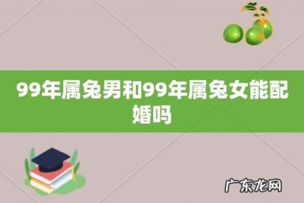 2013年命理解析：兔年出生人士的性格与命运