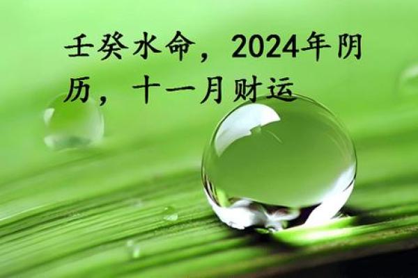 2024年：水命占主导，探索命理背后的智慧与哲理